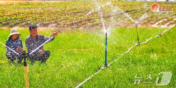 On April 19, Rodong Sinmun, the official newspaper of North Korea’s Workers’ Party, reported that the Songsin Vegetable Farm in Sadong District is thoroughly implementing measures to prevent drought damage / Rodong Sinmun