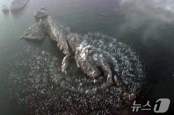 A North Korean cluster bomb exploding, with multiple small submunitions scattering in all directions and detonating / Rodong Sinmun