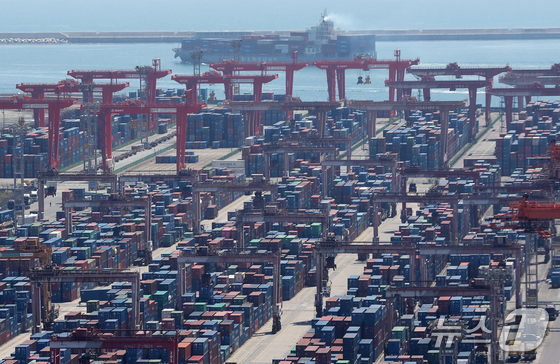 Containers are piled high at the open storage yard at Sinseondae Pier in Busan Port on April 8 2026.4.8 / News1