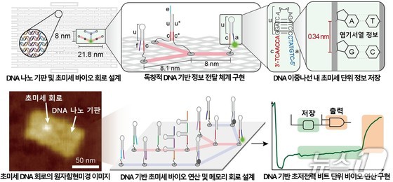 Schematic diagram illustrating the implementation of a bio-memory circuit capable of DNA-based ultra-fine, ultra-low-power computation (Provided by KAIST) / News1