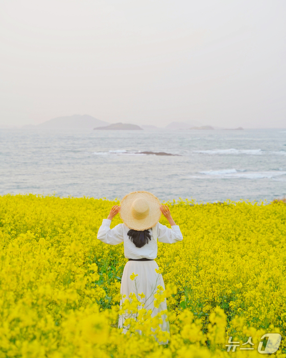 引用：群山市