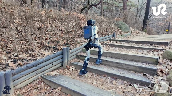 A humanoid robot walking up a trail (Provided by KAIST) / News1