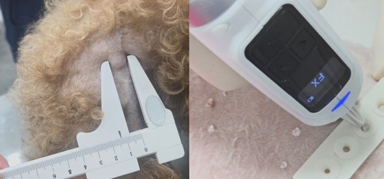 Yeeun Animal Medical Center