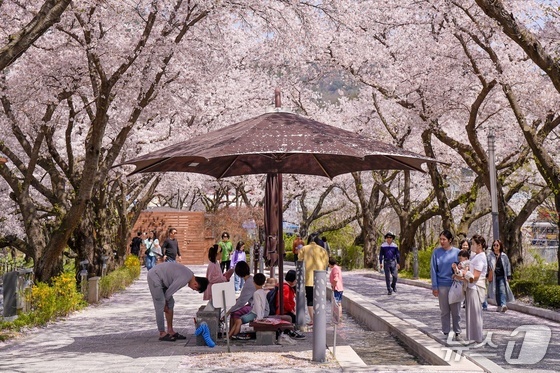 Experience Cherry Blossom Bliss: Suanbo Hot Spring Festival 2026 Reveals Culinary Delights!