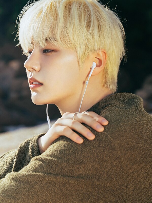 이미지  = 베리