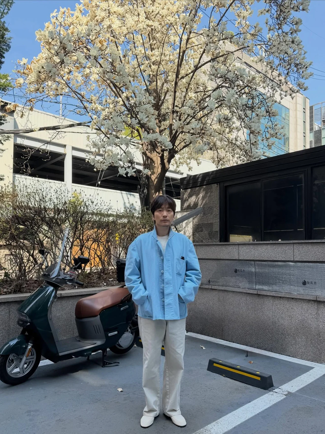 Sky‑blue oversized shirt jacket + ivory wide pants + white slip‑ons — magnolia backdrop / Photo = Lee Dong‑hwi Instagram (@leedongwhee)