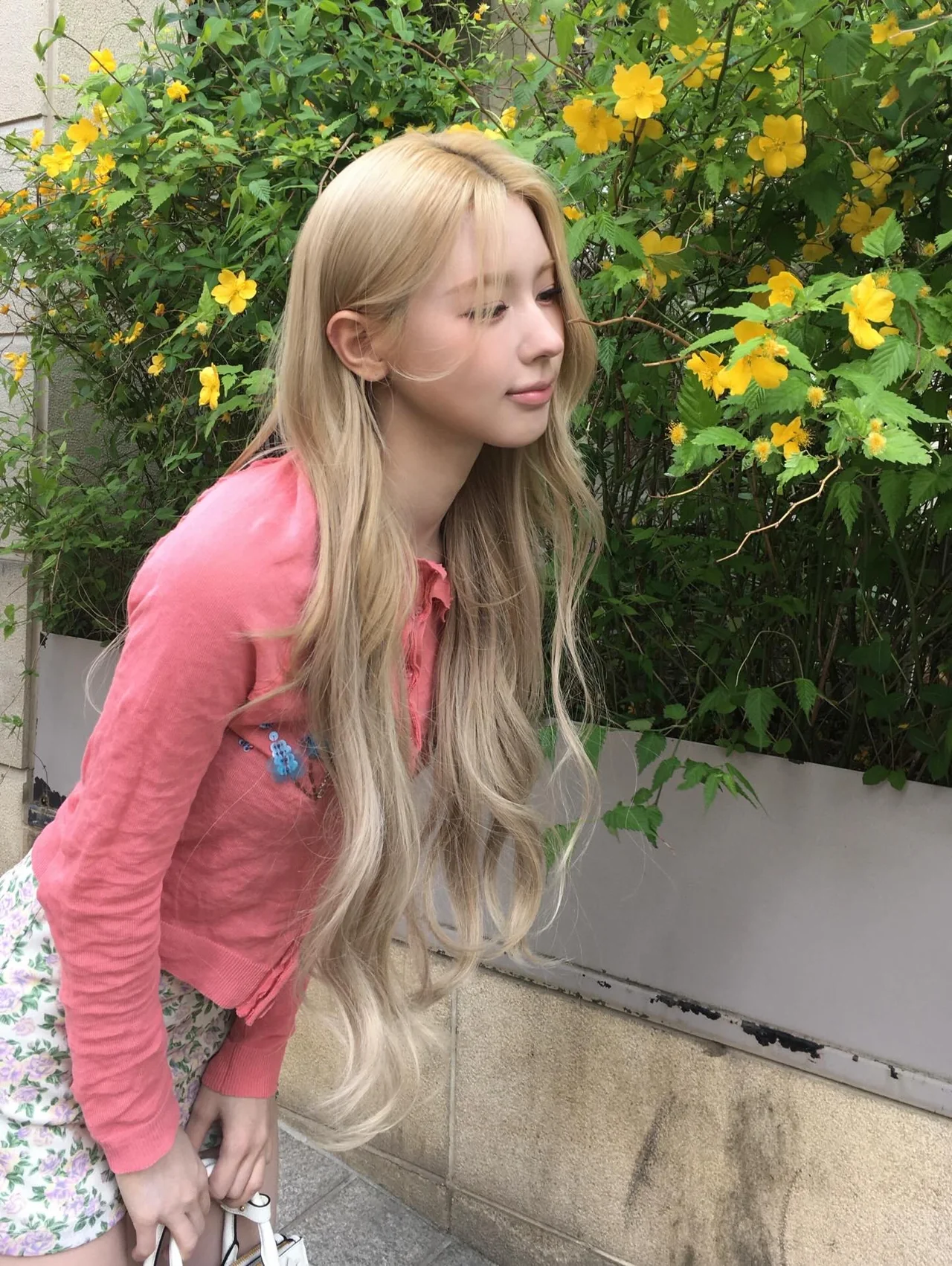 引用:Instagram@noodle.zip