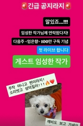 엄은향
