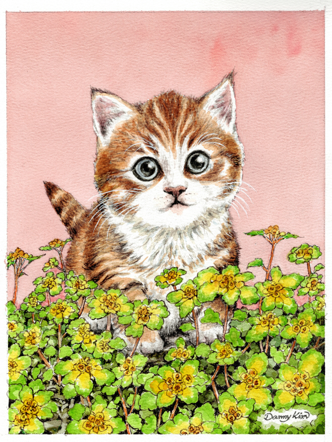 (80) 괭이눈 그림