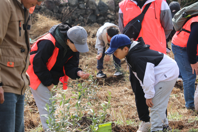 [한국관광공사] 비양도 올리브나무 식수 행사(1)