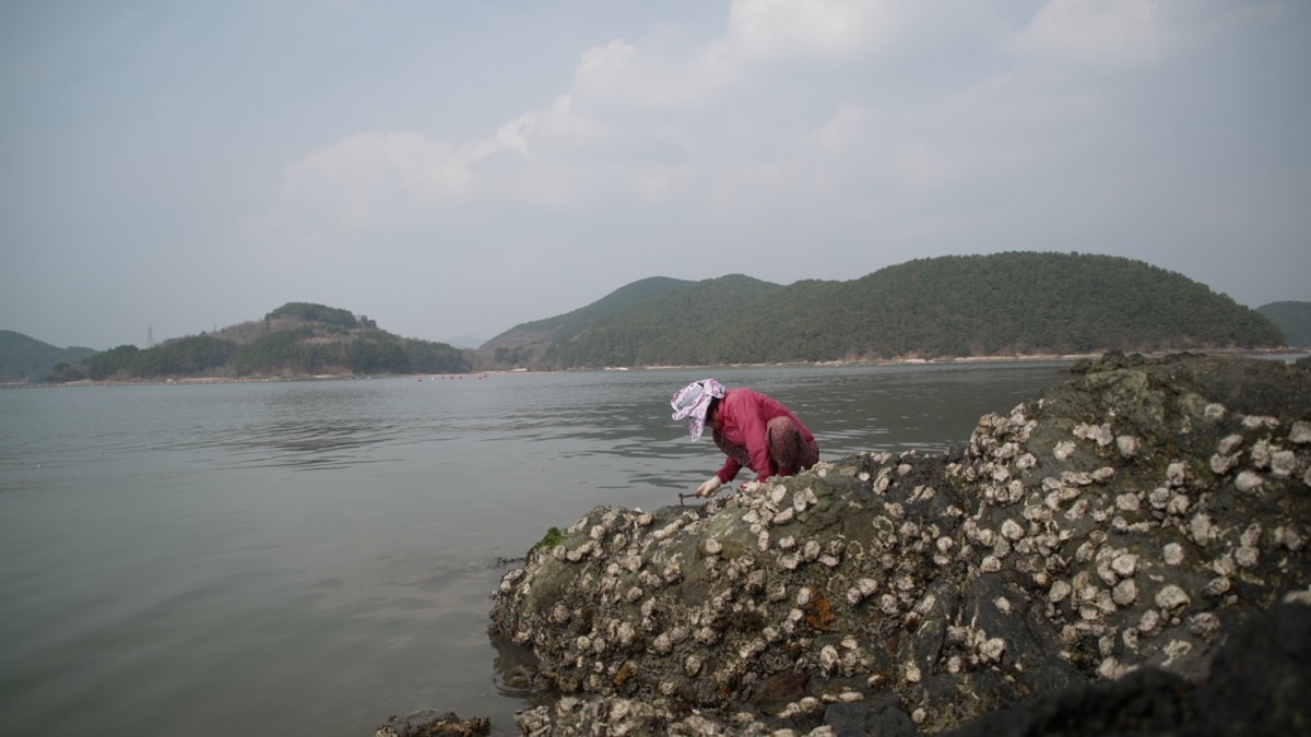Why Did Kim Taek-seon Choose Hansando Island? Unveiling Her Inspiring Story of Family and Dedication