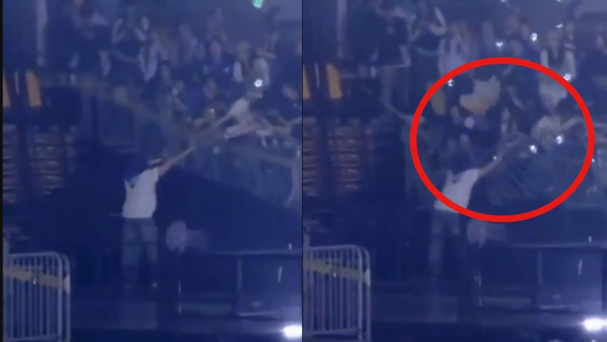 引用： X (旧Twitter) '@justelfsj' キャプチャ