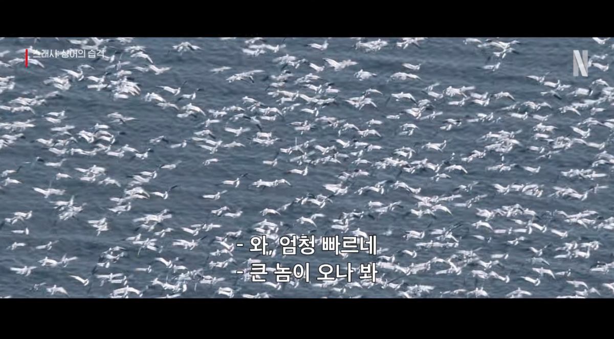 引用：YouTubeチャンネルNetflix Korea