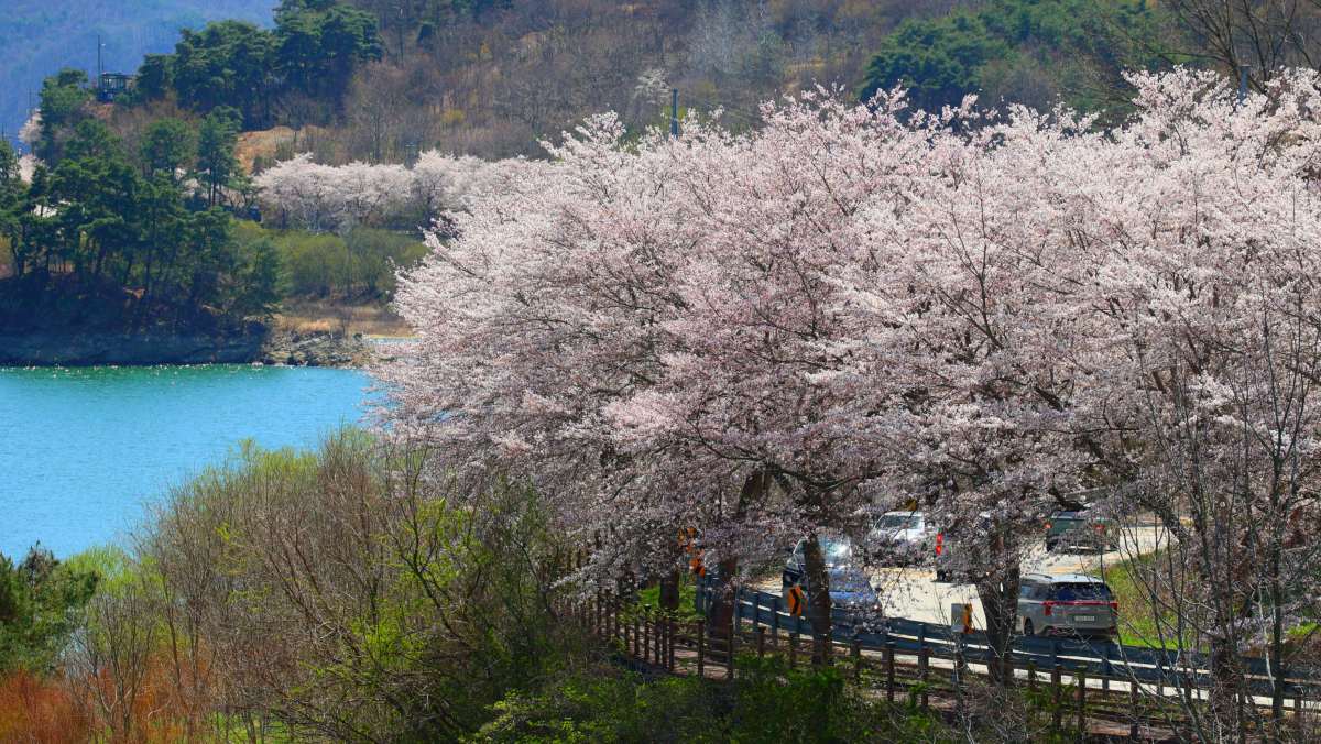 Okjeong Lake. / News1