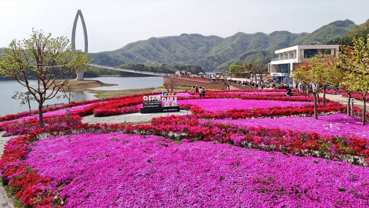 Yosan Park on Carp Island at Okjeong Lake glows red. / News1