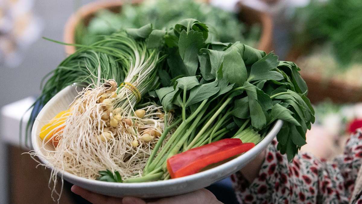 Your Ultimate Guide to Spring Greens: How to Prepare Chamnamul and Maximize Its Benefits