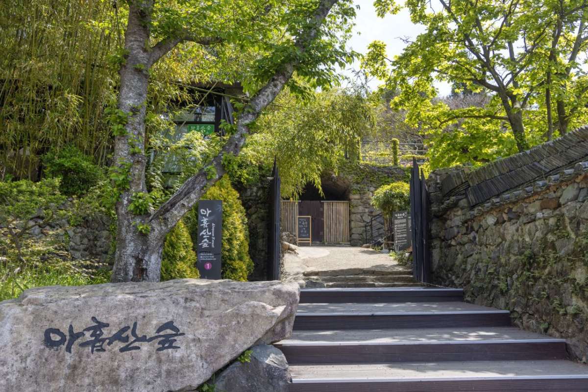 Ahopsan Forest / Busan Tourism Organization
