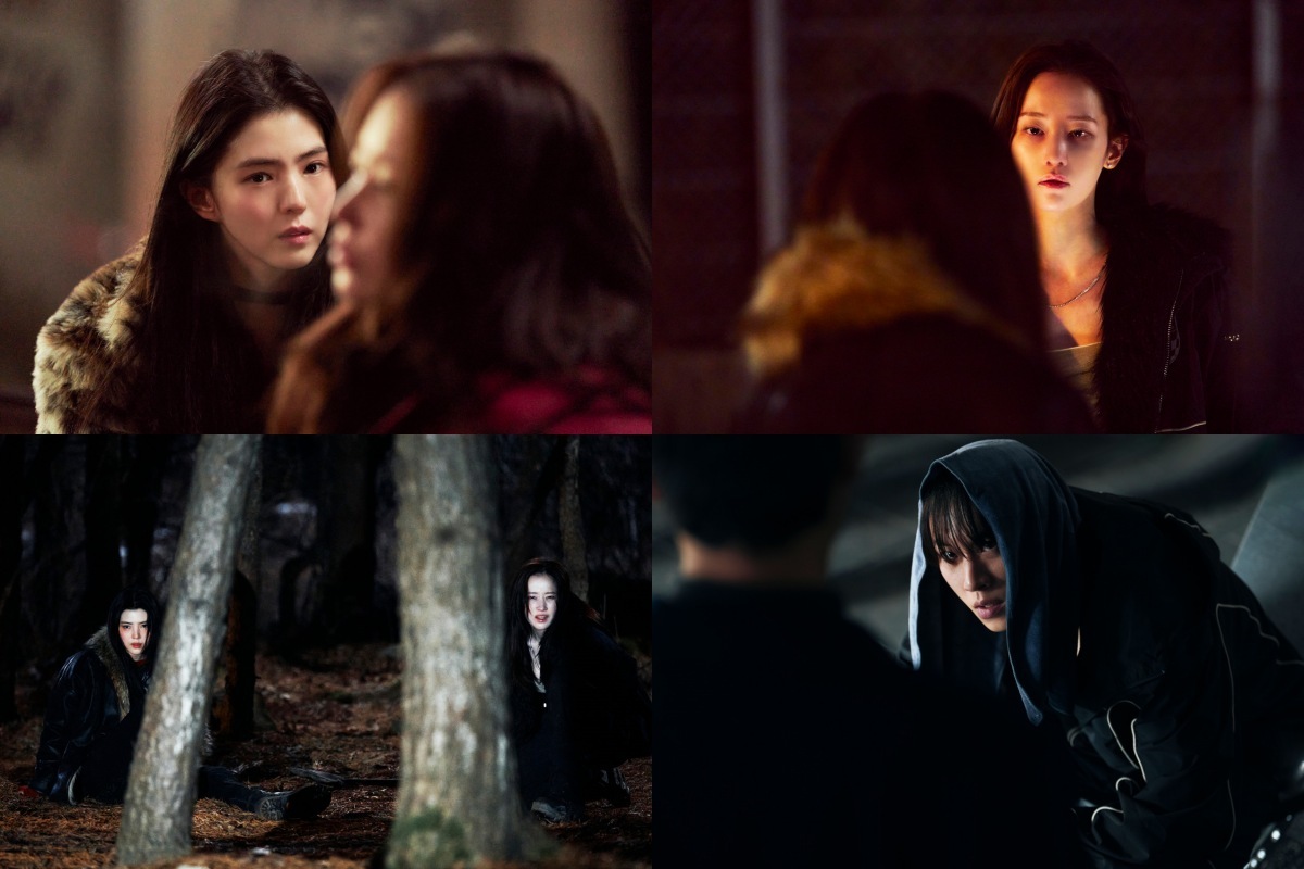 引用：Plus Mエンターテインメント