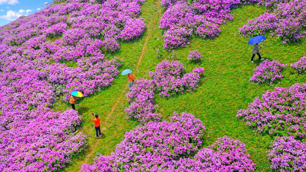 Why Su-man-ri is the ‘Alps of Korea’: A Complete Guide to Its Stunning Nature