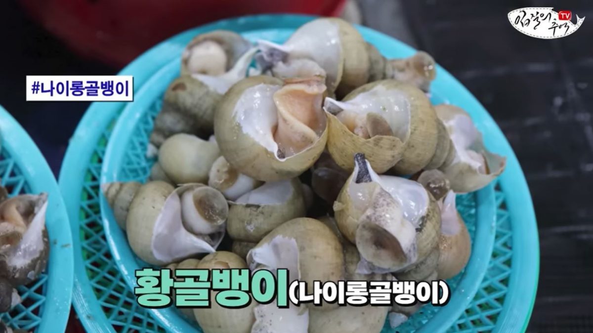 &nbsp;   Yellow whelk. / YouTube \'Ipjil’s Memories TV jiminTV\'