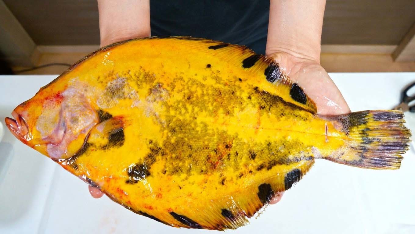 Yellow flounder / \'Ipjil\'s Memories TV\' YouTube