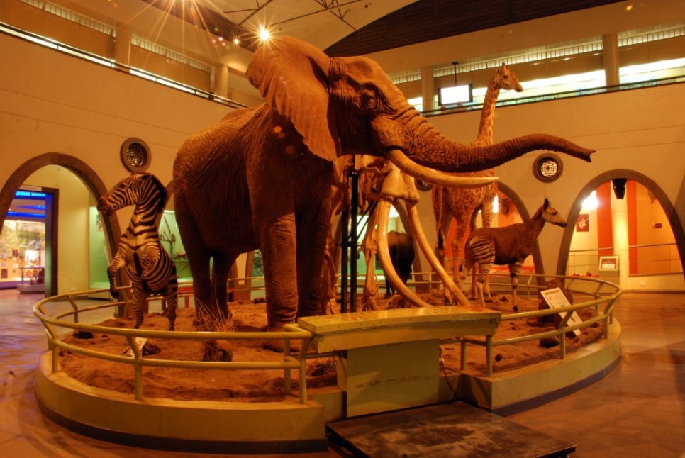 National Museums of Kenya website