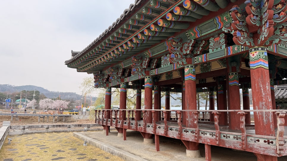 청도 유등연지 산책 후기｜낮에 걸어보니 더 좋았던 연못 풍경 | 김군의 여행스케치