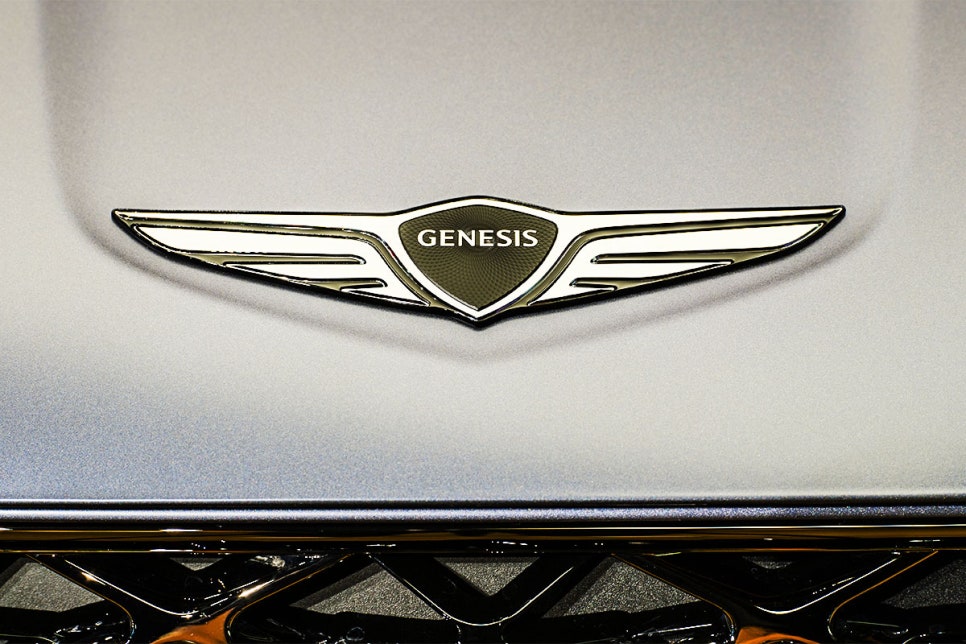 &nbsp; Genesis