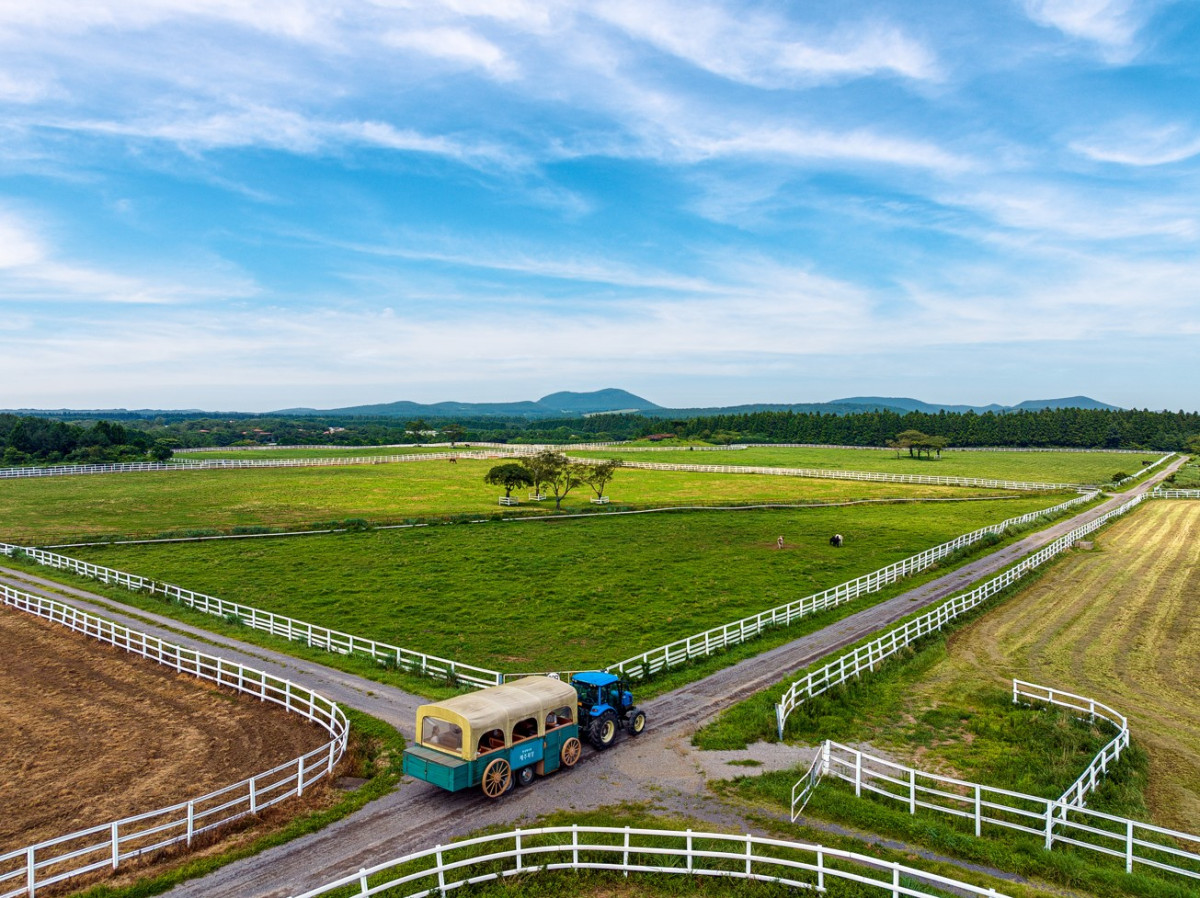 Discover Jeju’s Hidden Gems: Tractor Tour of Jeju Horse Park Reopens for 2026