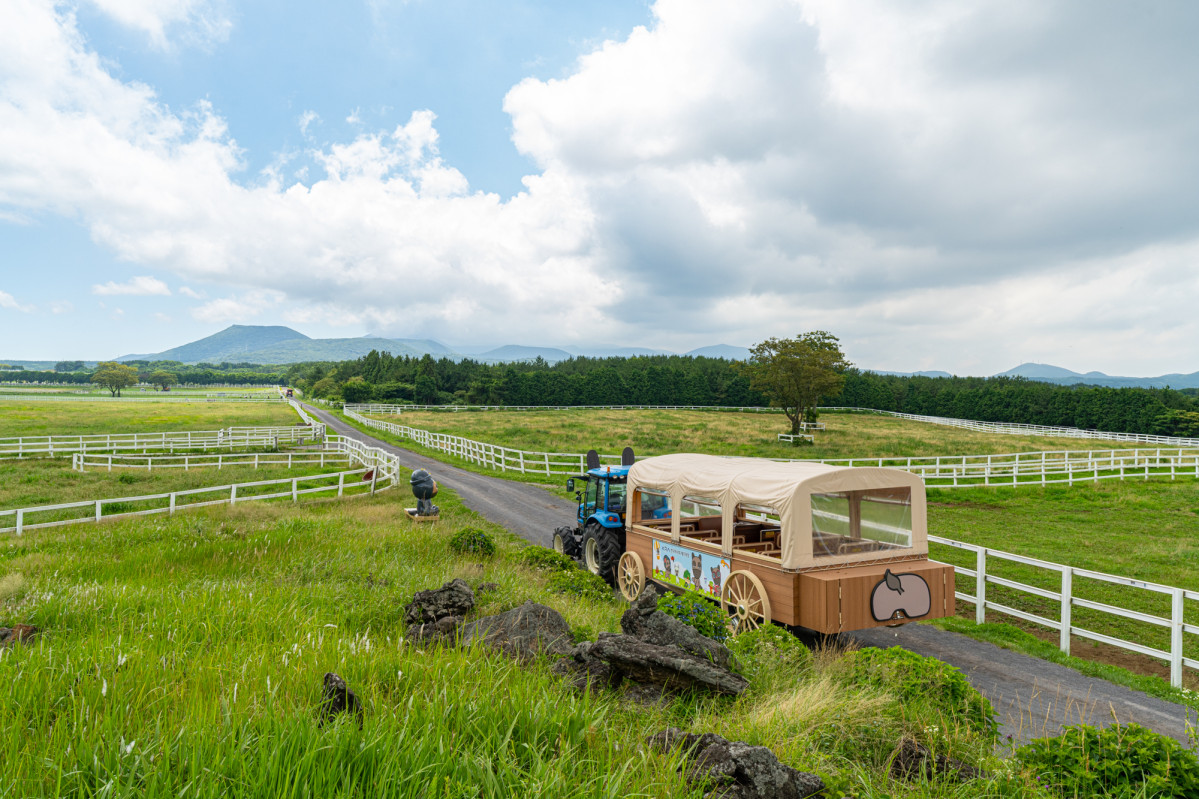 &nbsp;  Photo courtesy of the Korea Racing AuthorityKRA’s Jeju Ranch restarted its tractor-carriage tours on the 10th. Hop aboard a tractor-pulled carriage to glide across the ranch pastures and soak up views of Hallasan and Jeju’s oreums (small volcanic cones).