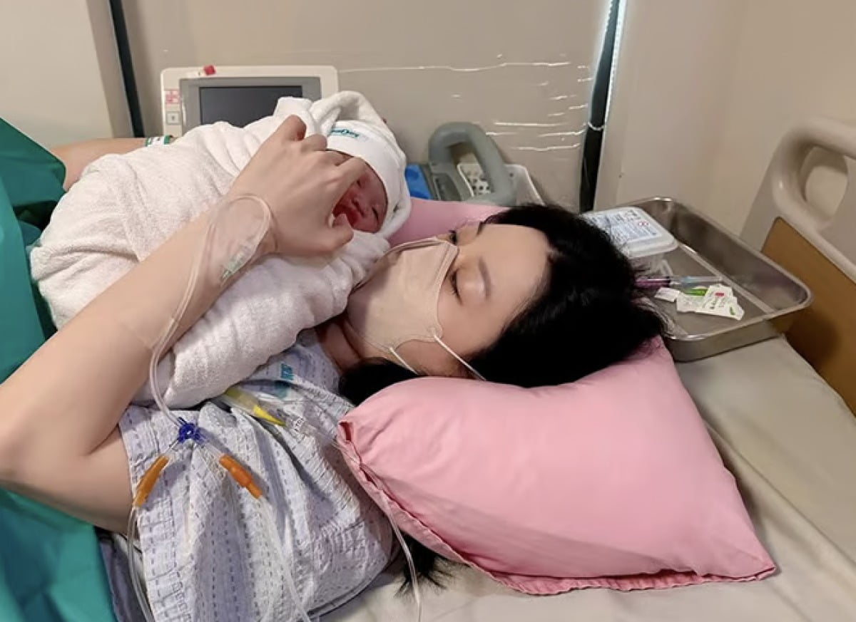 引用：報道資料