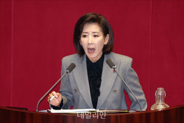 나경원 국민의힘 의원 ⓒ데일리안 홍금표 기자