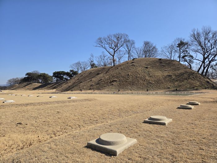 경주 월성터 (출처 : 직접 촬영)