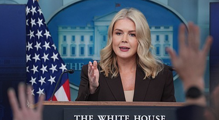 캐롤라인 레빗 미국 백악관 대변인이 지난해 11월 4일 워싱턴DC에서 브리핑을 진행하고 있다. ⓒAP/연합뉴스