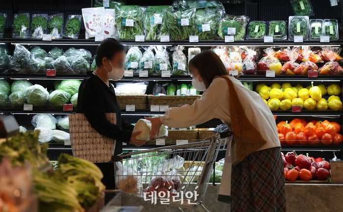 서울 시내 한 대형마트에서 고객들이 장을 보고 있는 모습.ⓒ뉴시스