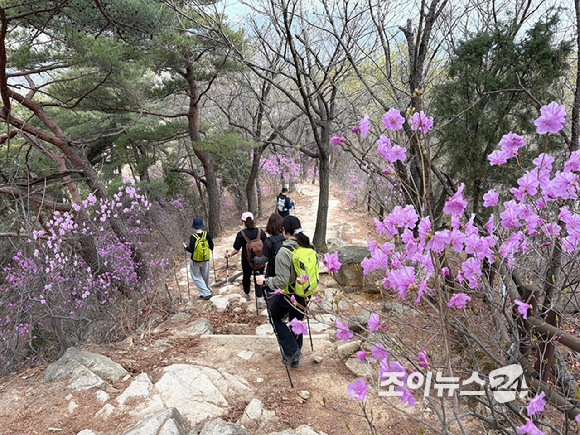 &nbsp;  JoyNews24 (CEO Lee Chang-ho) will host the 13th Hope-Finding Hiking & Trekking Class with mountaineer Oh Eun-sun on Bukhansan\'s Jindallae Ridge on the 24th. Hikers were spotted on the ridge on the 4th. [Photo: Jeong So-hee]