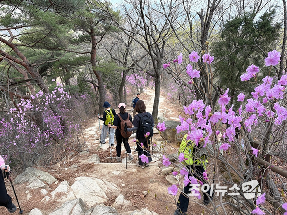 &nbsp;  JoyNews24 (CEO Lee Chang-ho) will host the 13th Hope-Finding Hiking & Trekking Class with mountaineer Oh Eun-sun on Bukhansan\'s Jindallae Ridge on the 24th. Hikers were spotted on the ridge on the 4th. [Photo: Jeong So-hee]