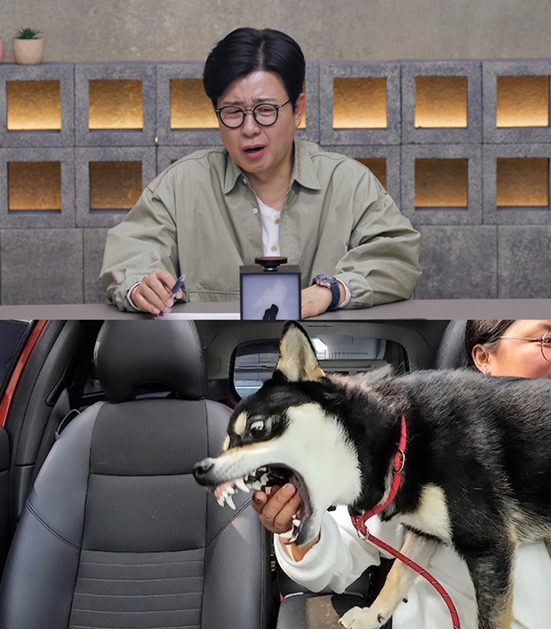 김성주