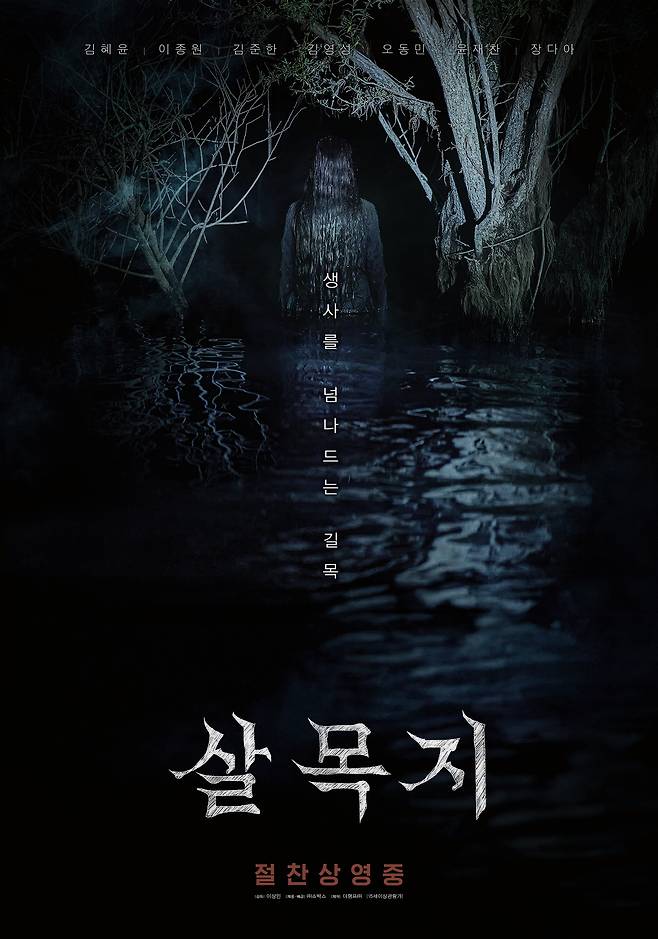 티브이데일리 포토