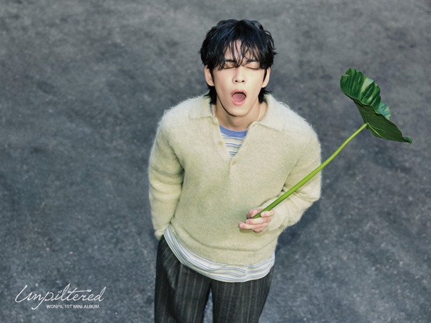 데이식스 원필