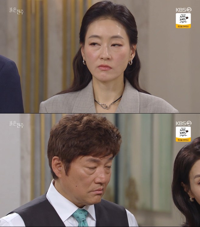 티브이데일리 포토