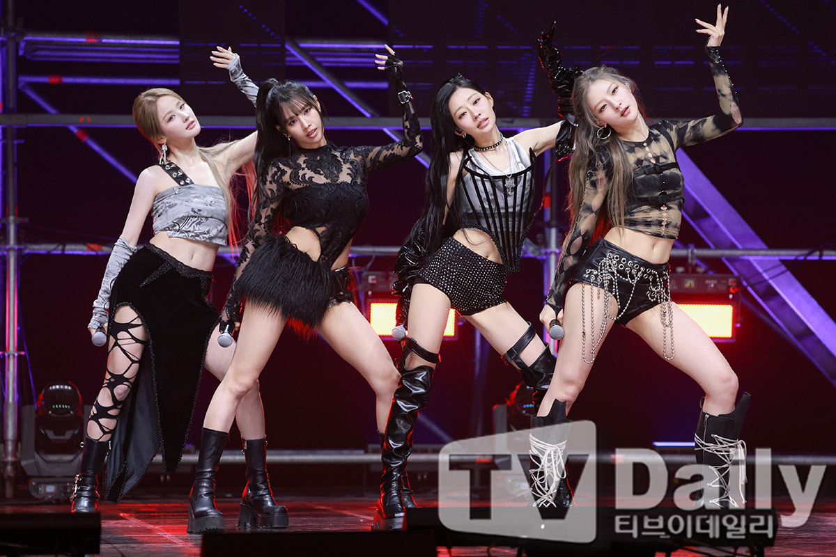 티브이데일리 포토