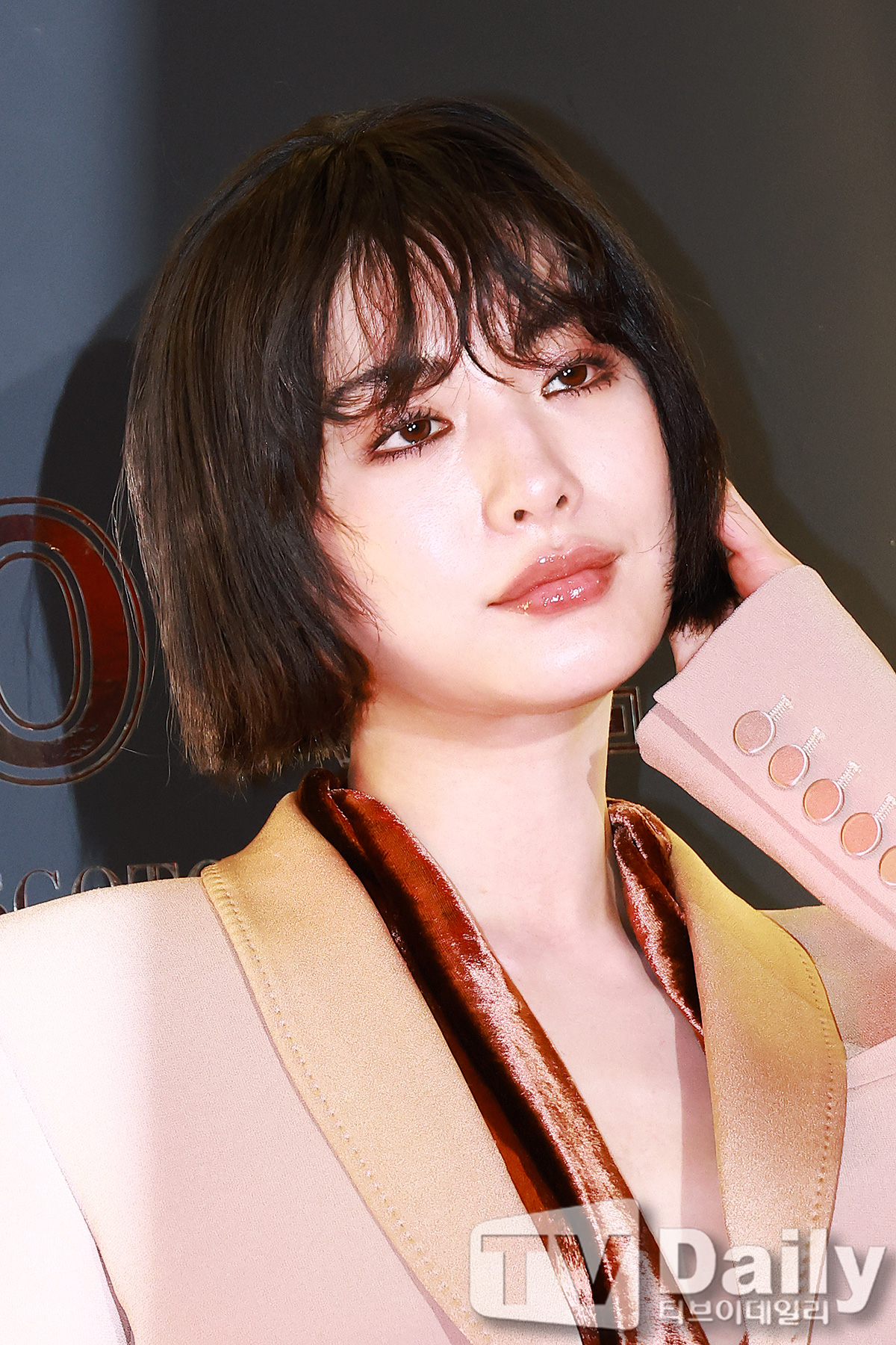 티브이데일리 포토