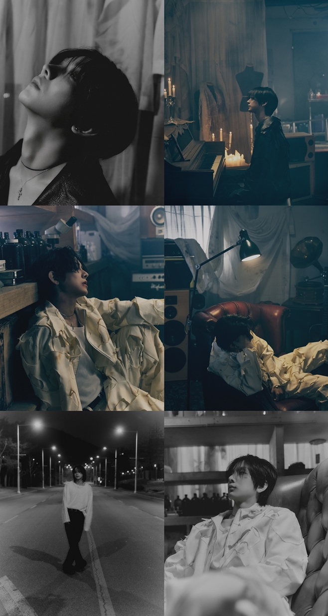 티브이데일리 포토