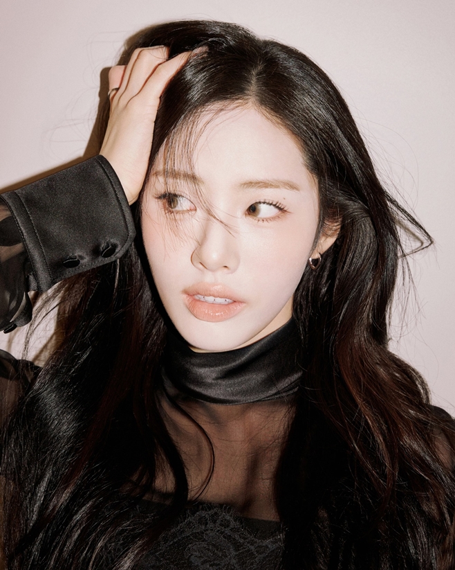 티브이데일리 포토