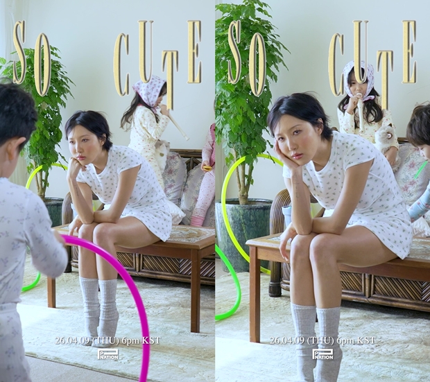 티브이데일리 포토