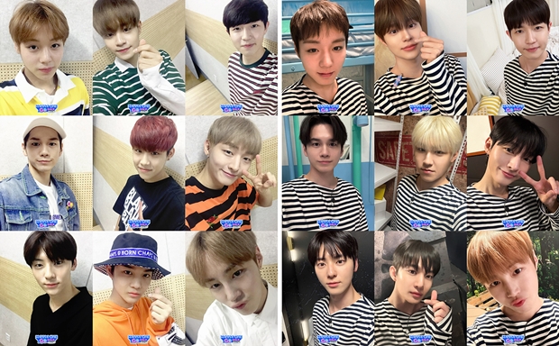 티브이데일리 포토