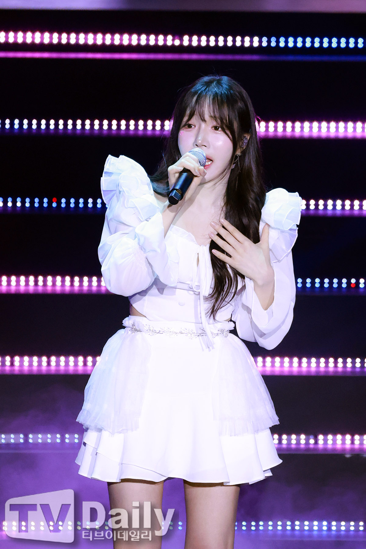 티브이데일리 포토