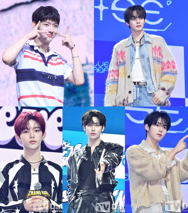 티브이데일리 포토