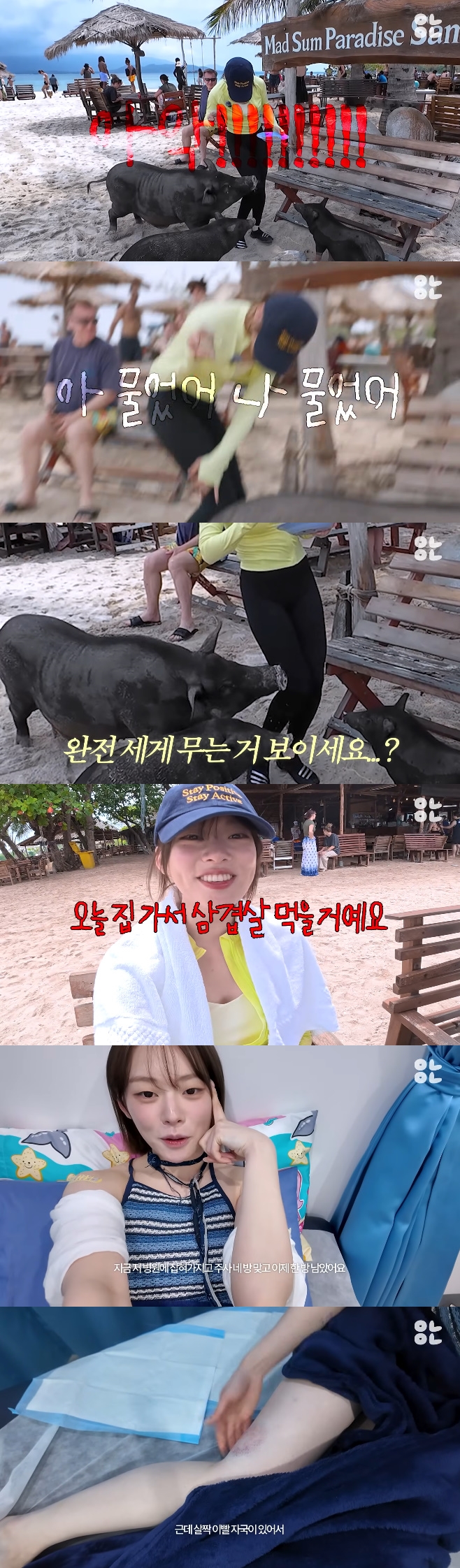 티브이데일리 포토